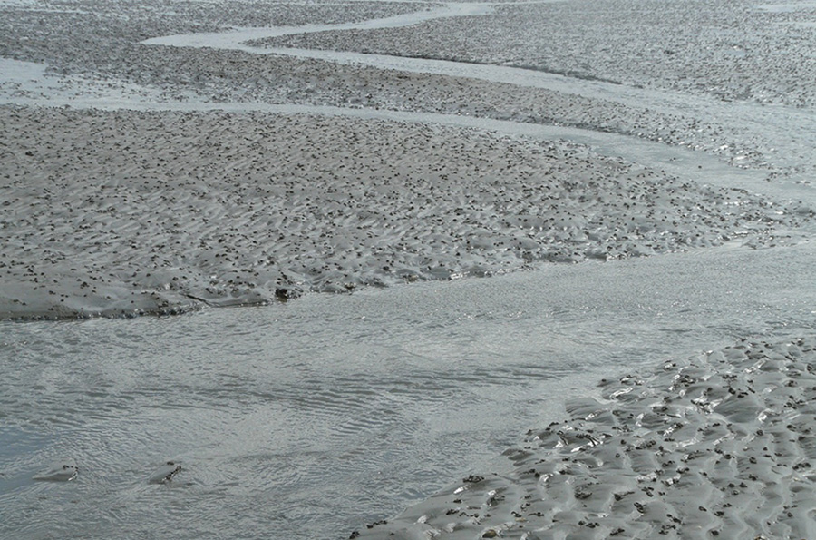 wattwandern-wasser-schlamm-meer.jpg